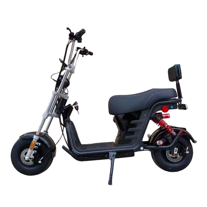 CRUISER fat-tyre all-terrain e-bike