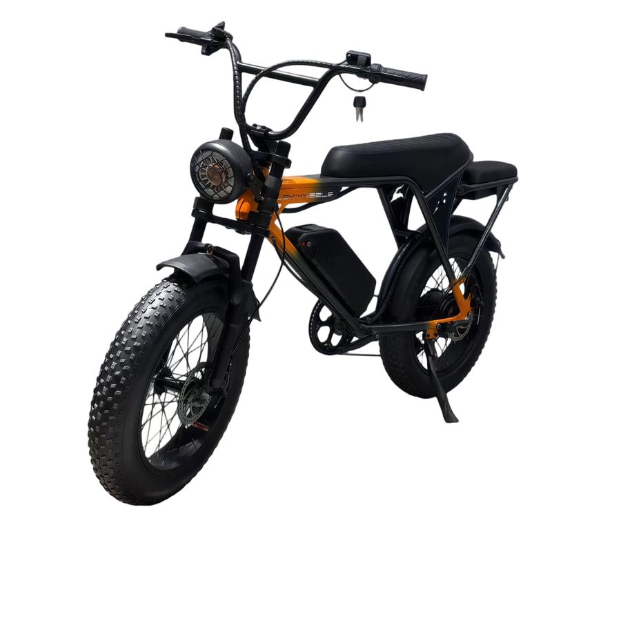 Z3 fat-tyre all-terrain e-bike